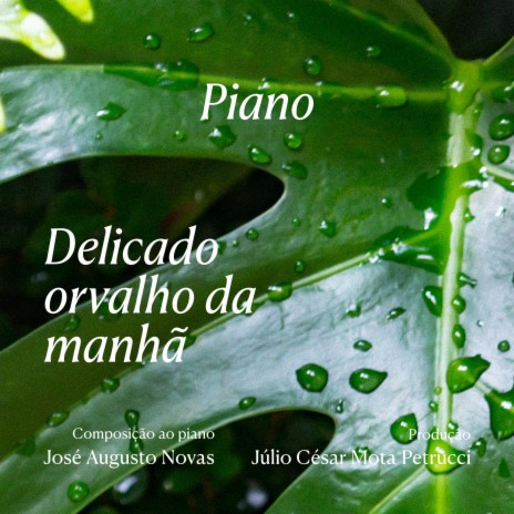 As delicadas abelhas brincando com as gotas de orvalho | Boomplay Music