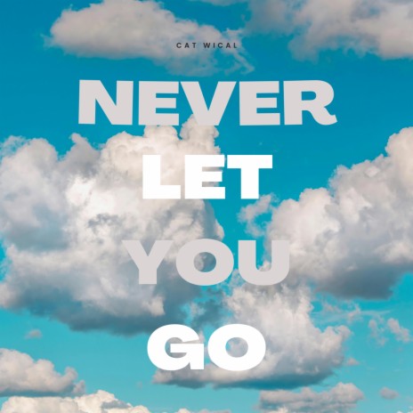 Never Let You Go | Boomplay Music