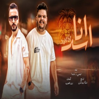 انا اسد