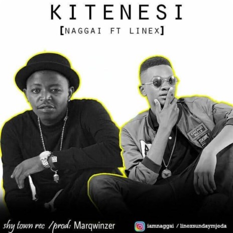 Kitenesi ft. Linex | Boomplay Music