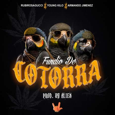 FUNDIO DE COTORRA ft. Armando Jimenez & Young Kilo | Boomplay Music