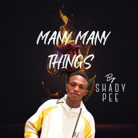 MANY MANY THINNGS (MMT) | Boomplay Music