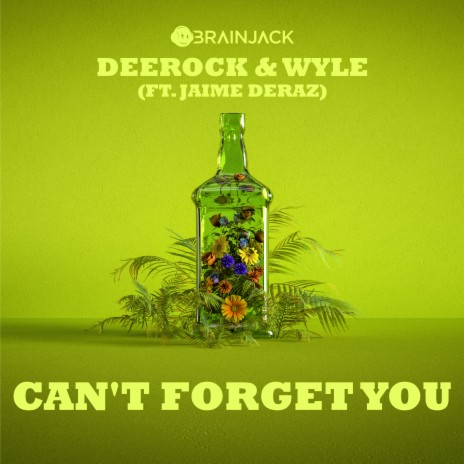 Can't Forget You ft. Wyle & Jaime Deraz