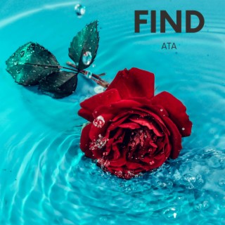 Find