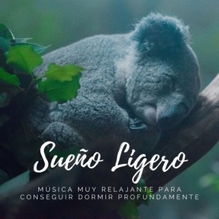 Sueño Ligero: Música muy Relajante para Conseguir Dormir Profundamente