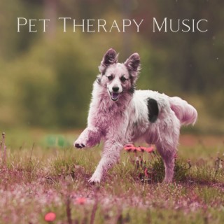 Pet Therapy Music: Dogs with Anxiety