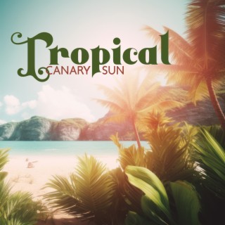 Tropical Canary Sun: Chillin' on The Beach, Summer Vibes, Chill Del Mar, Poolside Party