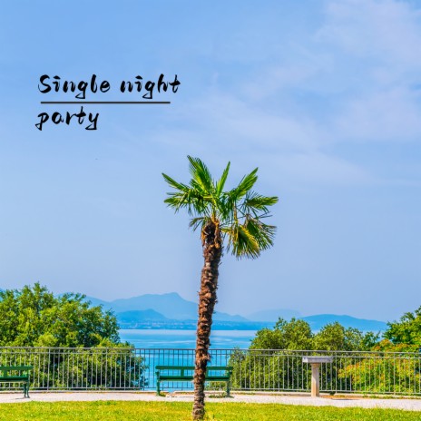 Single Night Party | Boomplay Music