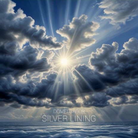 SILVER LINING | Boomplay Music