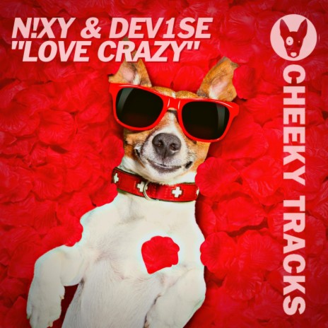 Love Crazy (Radio Edit) ft. DeV1Se | Boomplay Music