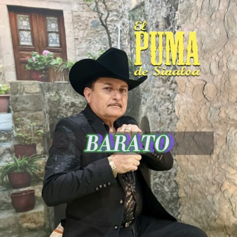 Barato | Boomplay Music