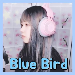 Blue Bird