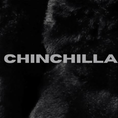 Chinchilla (feat. illy - Ace)