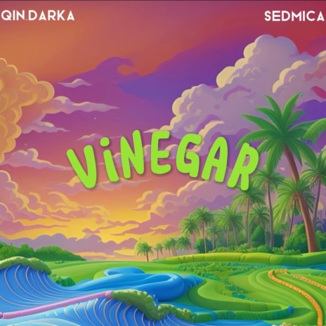Vinegar ft. Sedmica | Boomplay Music
