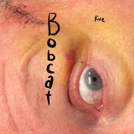 Bobcat | Boomplay Music