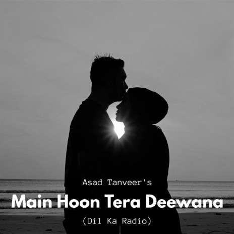 Main Hoon Tera Deewana | Boomplay Music