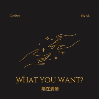 What You Want?