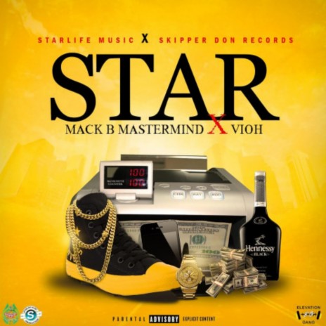 Star (Sky Levels Riddim) ft. Vioh Gadking | Boomplay Music