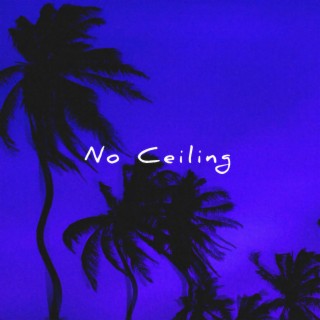 No Ceiling