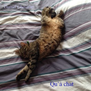 Qu'à chat