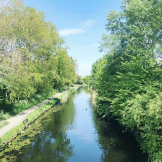 The Dirty Old Canal