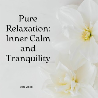 Pure Relaxation: Inner Calm and Tranquility (loopable music)