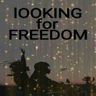looking for freedom