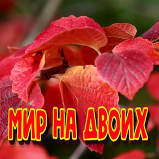 Мир на двоих