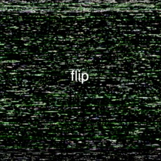 flip