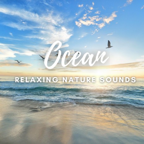 Ocean Beach Meditation Sounds Ambience | Boomplay Music