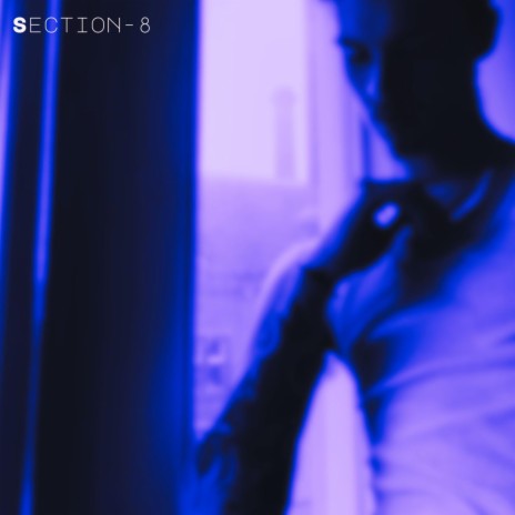 Section8 | Boomplay Music