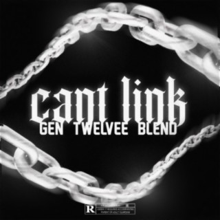 Can't link (feat. Twelvee & Blend.Vzn)