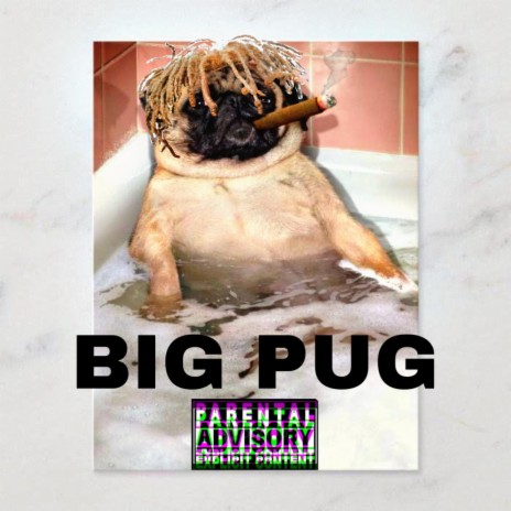 Big Pug