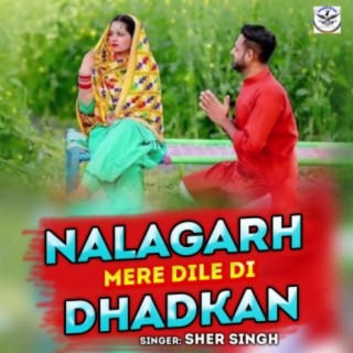 Nalagarh Mere Dile Di Dhadkan