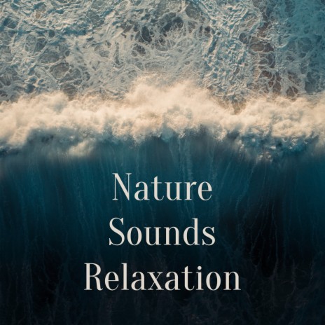 Lost in Your Eyes ft. Bruit de la Nature & Relaxamento Soundscape | Boomplay Music