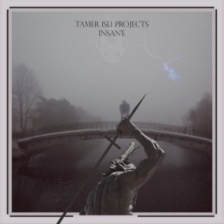 Tamer Isli Projects