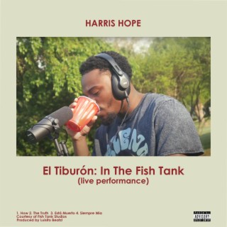 El Tiburón: In The Fish Tank