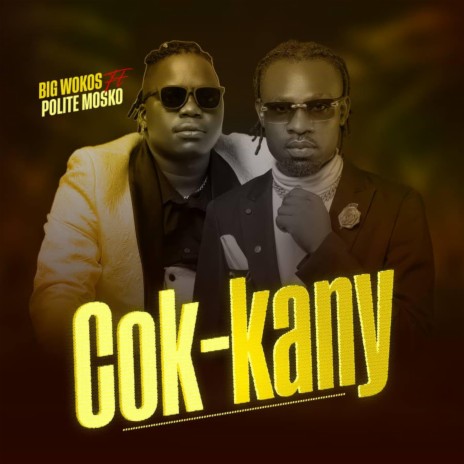 Cok Kany ft. Big Wokos