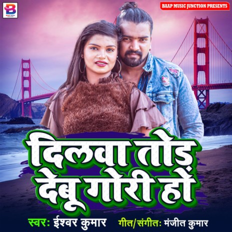 Dilwa Tor Debu Gori Ho | Boomplay Music