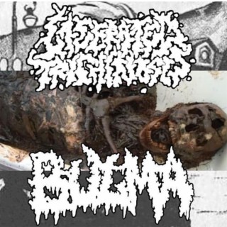 BULMA ブルマ/ LACERATED TRICHINOSIS SPLIT EP 2022