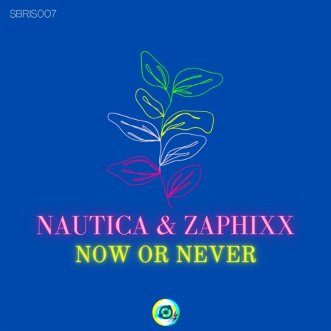 Now or Never ft. Zaphixx | Boomplay Music