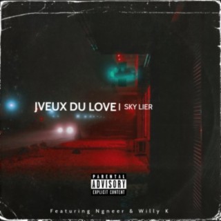 Jveux Du Love (feat. Ngneer & Willy K)