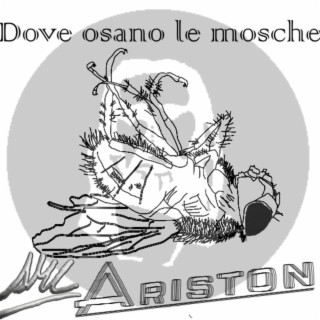 Dove osano le mosche