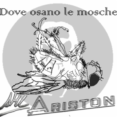 Dove osano le mosche | Boomplay Music