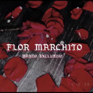 Flor Marchito