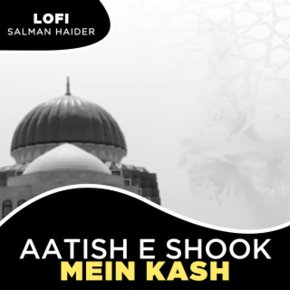 Aatish e Shook Mein Kash Lofi