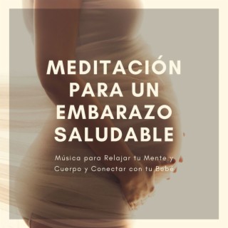 Meditación para un Embarazo Saludable: Música para Relajar tu Mente y Cuerpo y Conectar con tu Bebé