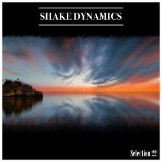 Shake Dynamics Selection 22