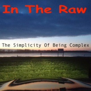 The Simplicity of Being Complex