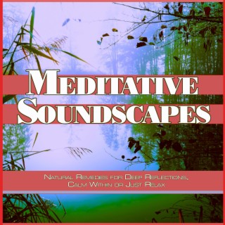Meditative Soundscapes: Natural Remedies for Deep Reflections, Calm Within or Just Relax